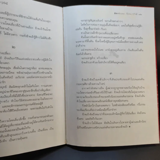 มังกรซ่อนลาย - เรืองรอง รุ่งรัศมี รูปที่ 16