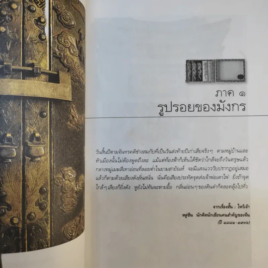 มังกรซ่อนลาย - เรืองรอง รุ่งรัศมี รูปที่ 15