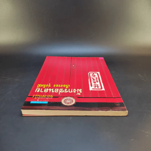 มังกรซ่อนลาย - เรืองรอง รุ่งรัศมี รูปที่ 6