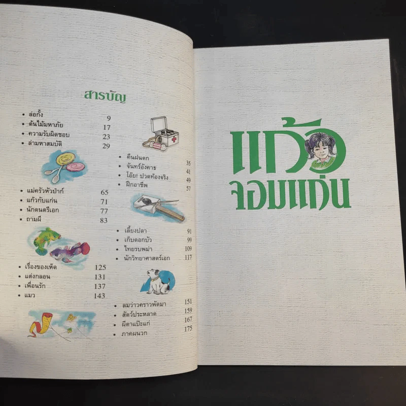 แก้วจอมแก่น - แว่นแก้ว รูปที่ 11