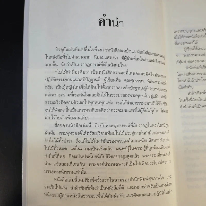 ใบไม้กำมือเดียว (รู้เท่านี้ ก็พอแล้ว) - ศุภวรรณ พิพัฒพรรณวงศ์ กรีน รูปที่ 11