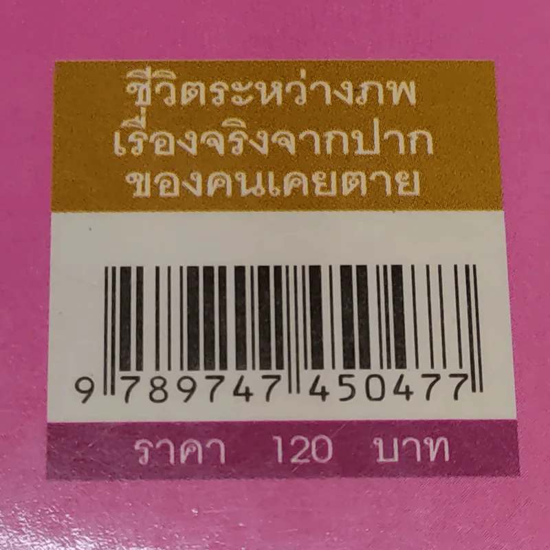 ชีวิตระหว่างภพ เรื่องจริงจากปากของคนเคยตาย - รวิโรจน์ ศิริประพันธ์ รูปที่ 13
