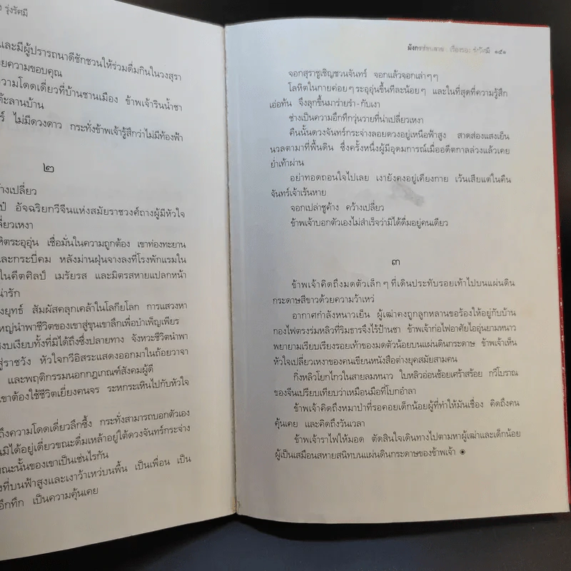 มังกรซ่อนลาย - เรืองรอง รุ่งรัศมี รูปที่ 16