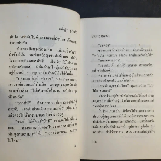ตลิ่งสูง ซุงหนัก - นิคม รายยวา รูปที่ 13