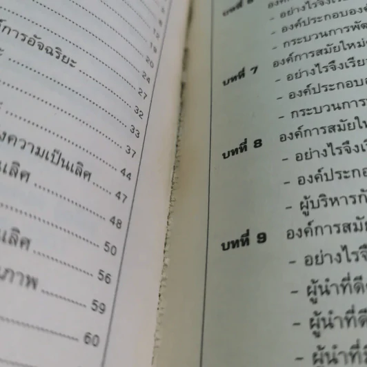 องค์การสมัยใหม่ - รองศาสตราจารย์ ดร.เสน่ห์ จุ้ยโต รูปที่ 11