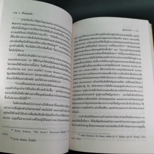 จิ๋วแต่แจ๋ว : เศรษฐศาสตร์เชิงพุทธ - E.F.Schumacher (อี.เอฟ.ชูเมกเกอร์) รูปที่ 13