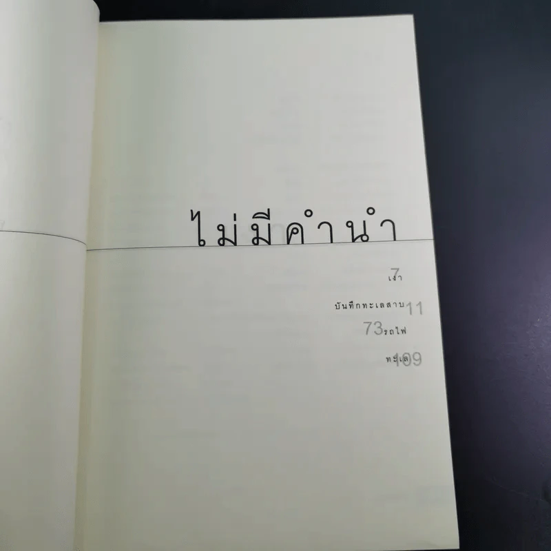 ไม่มีคำนำ ไม่มีใครนำ - มีนา มีน รูปที่ 9