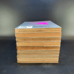 เอวานเกเลียน เล่ม 2-11 รูปที่ 3
