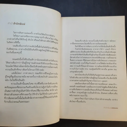 Wanderboy - ธีปกร วุฒิพิทยามงคล รูปที่ 9
