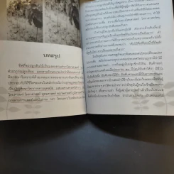 ไม้มงคลกับตำนานความเชื่อ - ณรงค์ มูลคำ รูปที่ 15