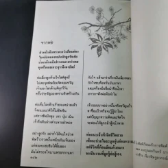 อนุสรณ์วินัย ภักดีชายแดน, จินตนา (ปิ่นเฉลียว) ภักดีชายแดน รูปที่ 13
