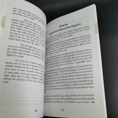 Essays on Thailand (เรื่องราวต่างๆเกี่ยวกับประเทศไทย) รูปที่ 14