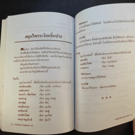 ยอดสมุนไพรรักษาภายนอก - อ.ยุวดี จอมพิทักษ์ รูปที่ 14