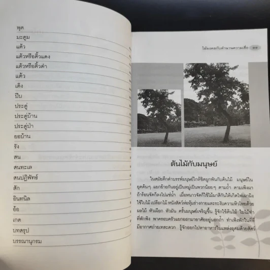 ไม้มงคลกับตำนานความเชื่อ - ณรงค์ มูลคำ รูปที่ 13