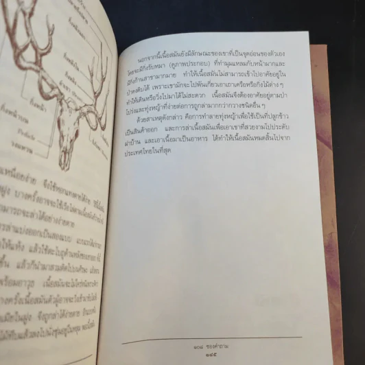 108 ซองคำถาม เล่ม 1 รูปที่ 13