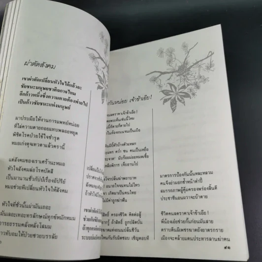 อนุสรณ์วินัย ภักดีชายแดน, จินตนา (ปิ่นเฉลียว) ภักดีชายแดน รูปที่ 11