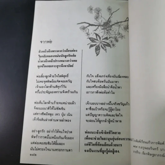 อนุสรณ์วินัย ภักดีชายแดน, จินตนา (ปิ่นเฉลียว) ภักดีชายแดน รูปที่ 13