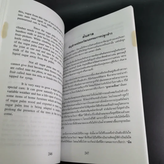 Essays on Thailand (เรื่องราวต่างๆเกี่ยวกับประเทศไทย) รูปที่ 14