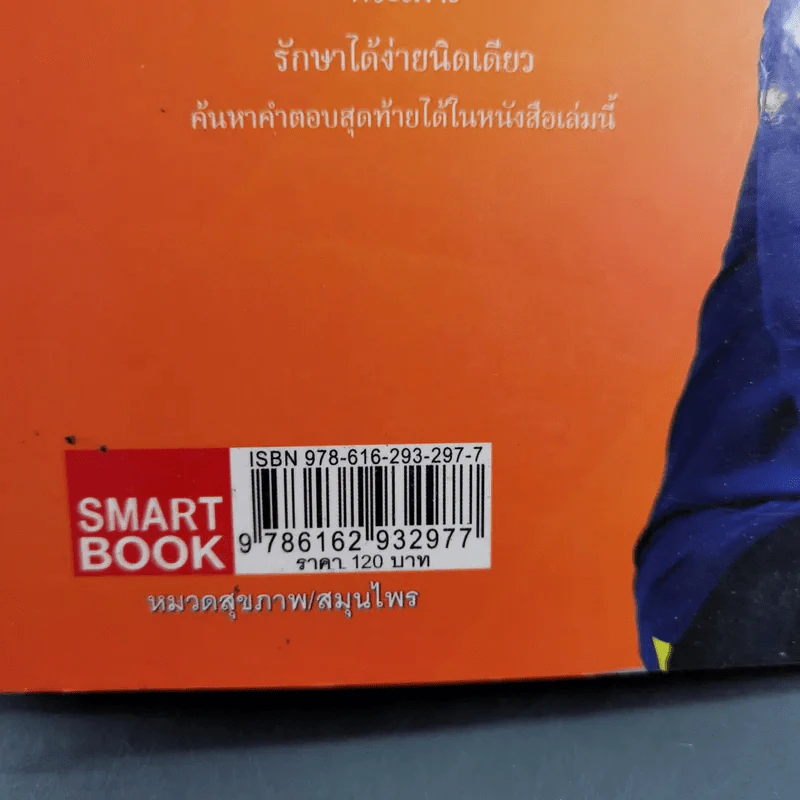 โรคกรดไหลย้อน กระเพาะ รักษาได้ง่ายนิดเดียว - หมอต้น รูปที่ 3