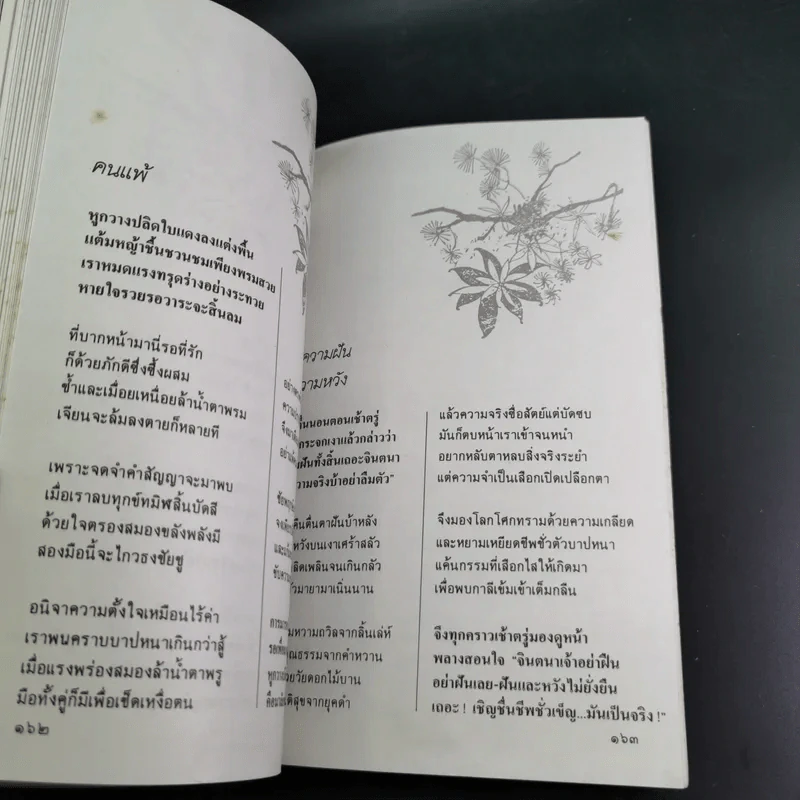 อนุสรณ์วินัย ภักดีชายแดน, จินตนา (ปิ่นเฉลียว) ภักดีชายแดน รูปที่ 12