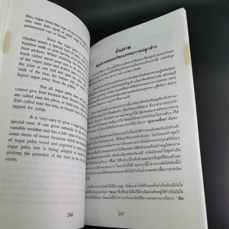 Essays on Thailand (เรื่องราวต่างๆเกี่ยวกับประเทศไทย) รูปที่ 14