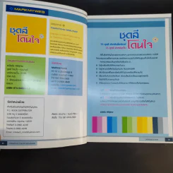 ชุดสีโดนใจ Creative Color Schemes - ธวัชชัย ศรีสุเทพ รูปที่ 9