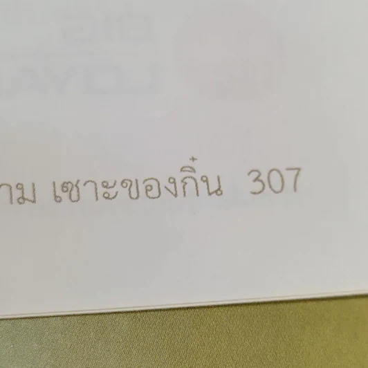 ผ่อผ้างามเซาะของกิ๋น - ธนาคารกรุงเทพ รูปที่ 18