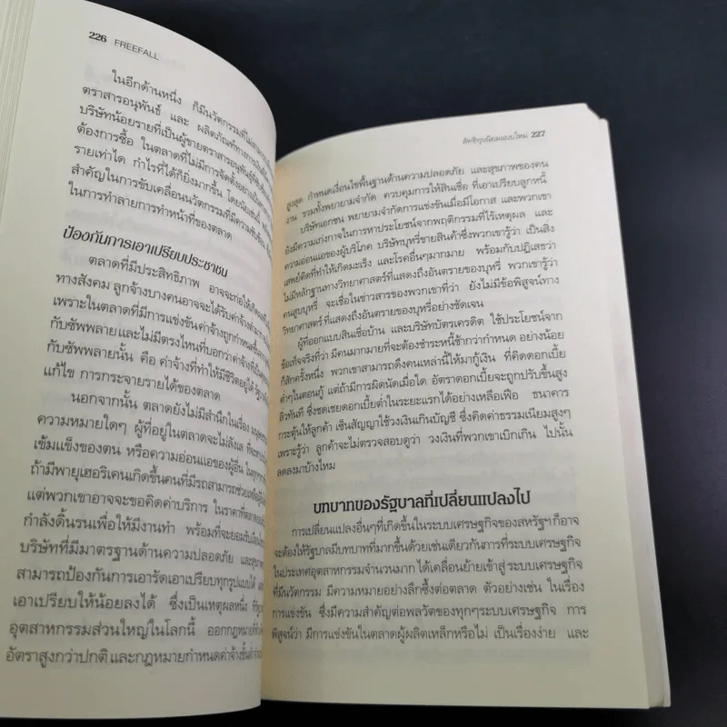 FreeFall ฟรีฟอลล์ รากเหง้า-ทางออกแห่งวิกฤติการณ์การเงินโลก - Joseph E.Stiglitz รูปที่ 22