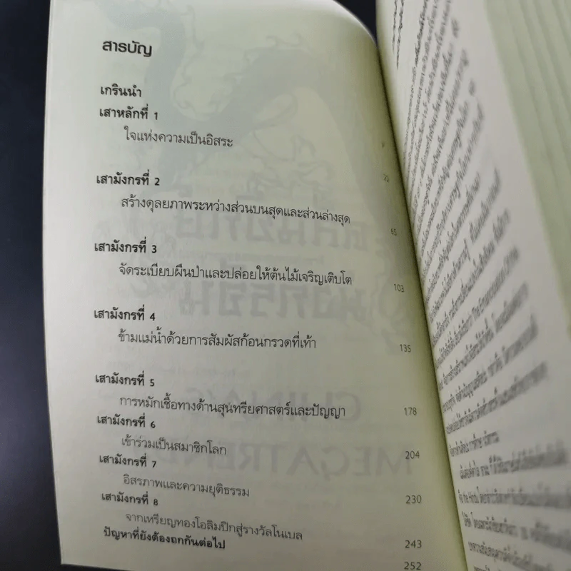 คลื่นยักษ์มังกรจีน เสา 8 หลักต่อสังคมจีนใหม่ - สมพงษ์ สุวรรณจิตกุล รูปที่ 9