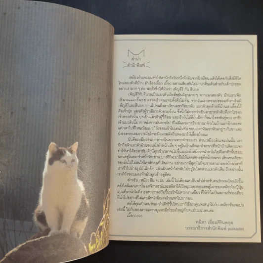 เหมียวอินเจแปน - จิราภรณ์ วิหวา, สลิลา มหันต์เชิดชูวงศ์ รูปที่ 10