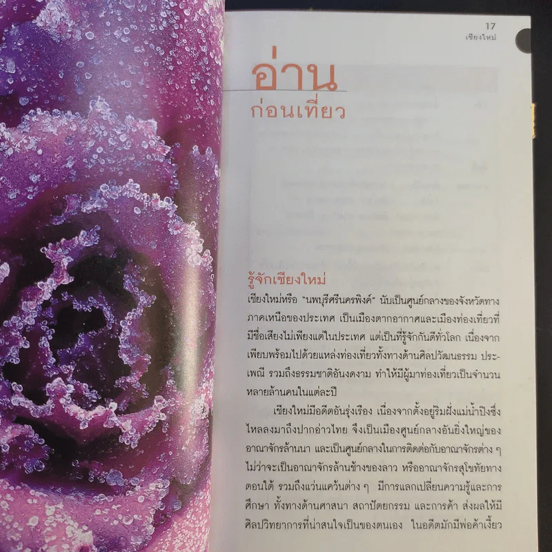 เที่ยวทั่วไทยไปกับนายรอบรู้ เชียงใหม่ รูปที่ 13