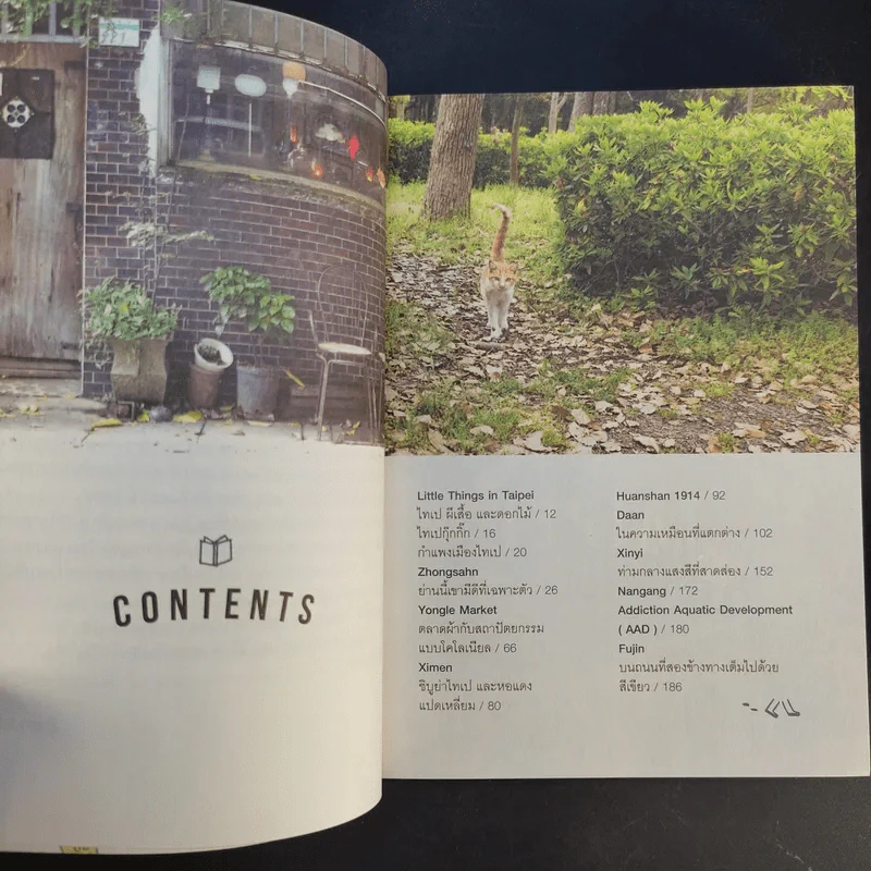 Taipei Guggig Guide - พนิดา เอื่ยมศิรินพกุล (ตุ๊กตา) รูปที่ 12