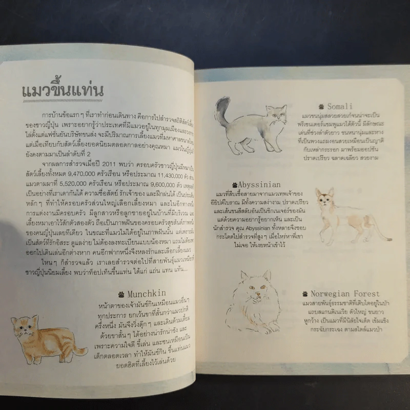 เหมียวอินเจแปน - จิราภรณ์ วิหวา, สลิลา มหันต์เชิดชูวงศ์ รูปที่ 16