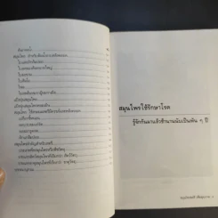 สมุนไพรสตรี - อ.ยุวดี จอมพิทักษ์ รูปที่ 11