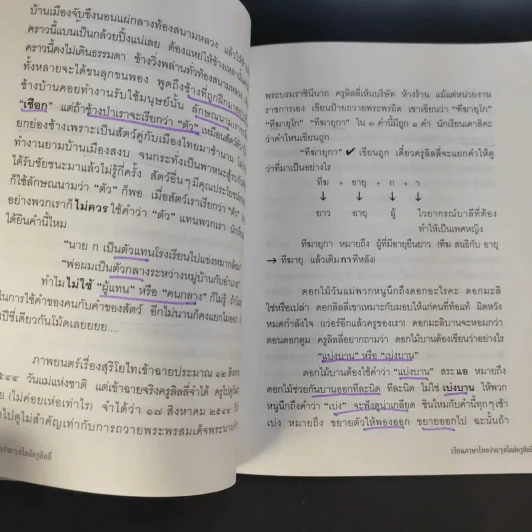 เรียนภาษาไทยง่ายๆสไตล์ครูลิลลี่ รูปที่ 10