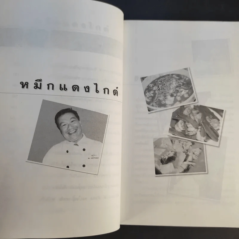 หมึกแดงไกด์ - ม.ล.ศิริเฉลิม สวัสดิวัตน์ รูปที่ 13
