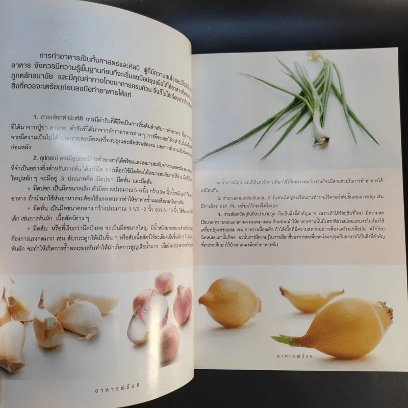 อาหารฝรั่ง - อาจารย์ดารามาศ แก้วแดง รูปที่ 11