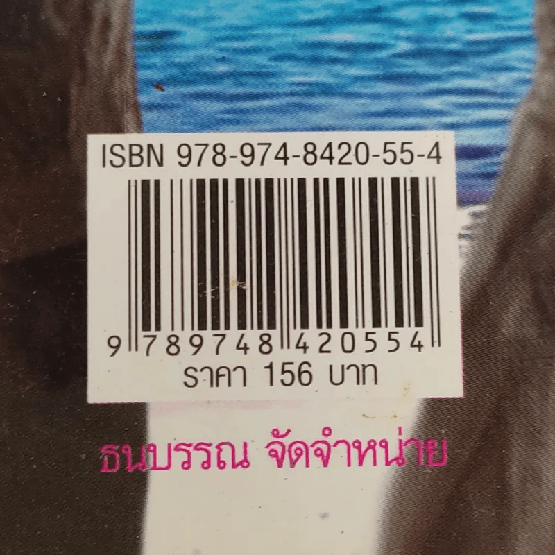 ฮวงจุ้ย คู่รัก 12 ราศี - แถมศิลป์ เดชอุดม รูปที่ 13