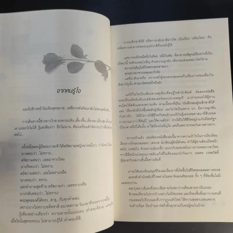 กลับชาติมาเกิด - สเตลลา เอ็ม. เทรเวซ รูปที่ 10