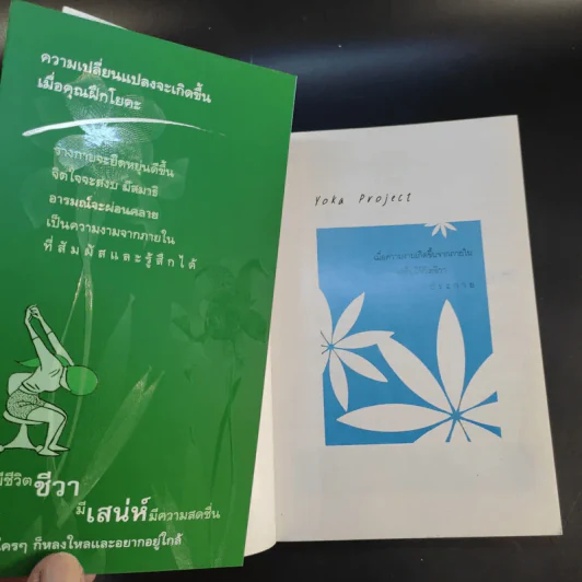 ฝึกโยคะตั้งแต่เริ่มต้นด้วยตัวเอง - มิสโจลี ลี รูปที่ 8