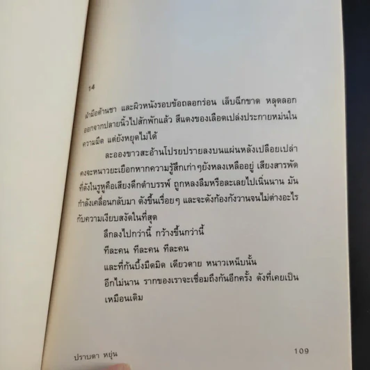 นอนใต้ละอองหนาว - ปราบดา หยุ่น รูปที่ 12