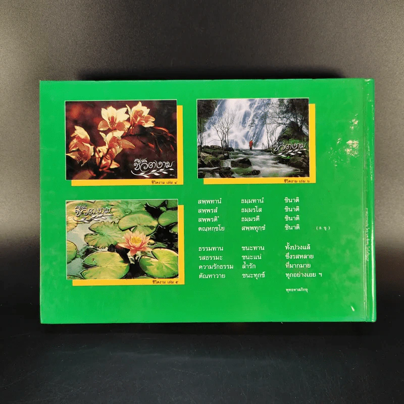 ชีวิตงาม รวมเล่ม 4-5-6 รูปที่ 2