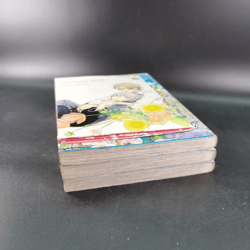 การ์ตูนวาย มีเพียงดอกไม้ที่รู้ 3 เล่มจบ + โปสการ์ด รูปที่ 6