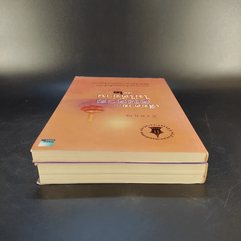 เสียดายคนตายไม่ได้อ่าน เล่ม 1-2 - ดังตฤณ รูปที่ 5