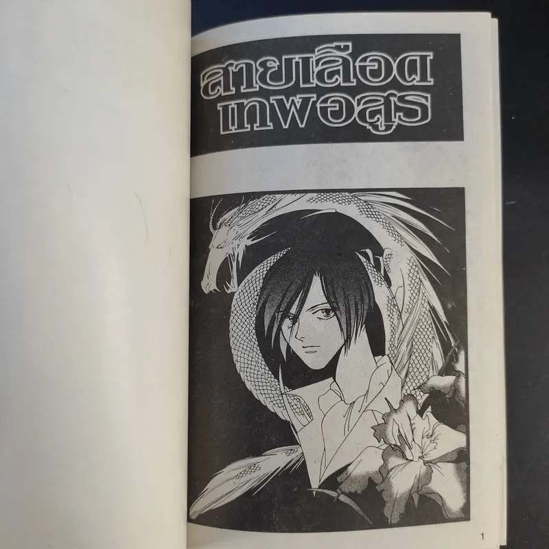สายเลือดเทพอสูร 4 เล่มจบ - Ruialicegawa รูปที่ 11