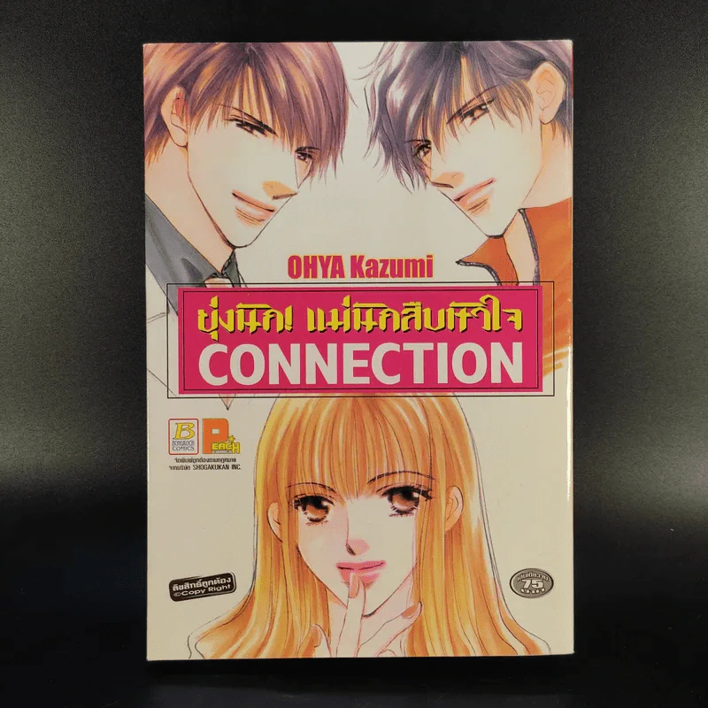 ยุ่งนัก แม่นักสืบหัวใจ Connection - Ohya Kazumi รูปที่ 1