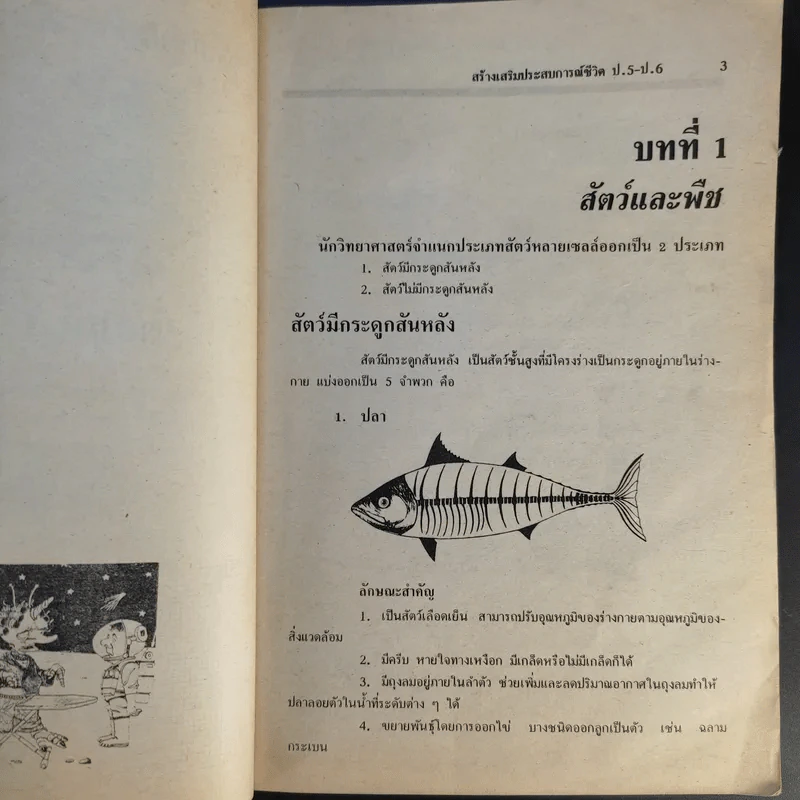สปช. ป.5-ป.6 สำนักพิมพ์ Hi-Ed รูปที่ 13