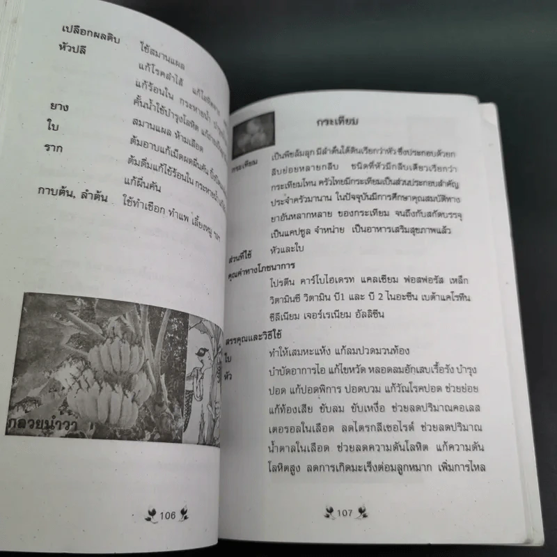 เคล็ดวิธี แก้กรรม-ปัญหาชีวิต กินอย่างไร-ไร้โรคภัย รูปที่ 14