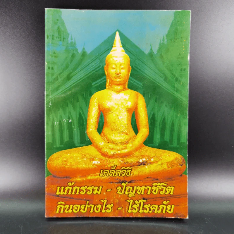 เคล็ดวิธี แก้กรรม-ปัญหาชีวิต กินอย่างไร-ไร้โรคภัย รูปที่ 1