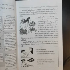 ประวัติศาสตร์จีน ยุคก่อนประวัติศาสตร์ถึงราชวงศ์ชิง รูปที่ 15